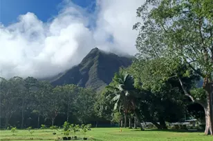 41-539 Makakalo St, Waimanalo, HI 96795 - Photo 21