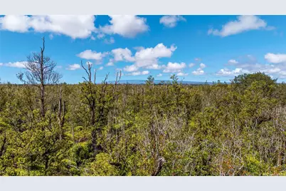 11-3259 * Road, Volcano, HI 96785 - Photo 3