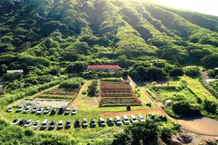 587 Pakala St, Honolulu, HI 96825 - Photo 1