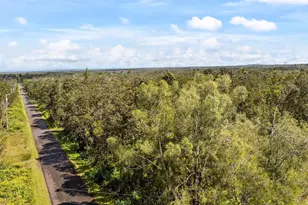 113215 Mokuna St, Volcano, HI 96785 - Photo 1