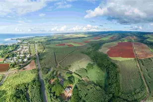 64-486 Kamehameha Hwy, Haleiwa, HI 96712 - Photo 1