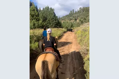 1 North Fork County Rd, Orderville, UT 84758 - Photo 23