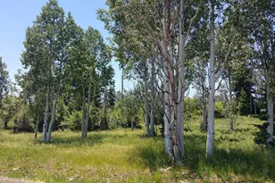271 N Whispering Pines Rd, Virgin, UT 84779 - Photo 1