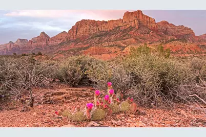 2613 Canyon Point Drive, Springdale, UT 84767 - Photo 15