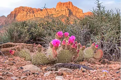 2613 Canyon Point Drive, Springdale, UT 84767 - Photo 3