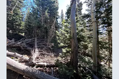 W Hunter Ridge Dr, Brian Head, UT 84719 - Photo 15