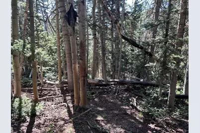 W Hunter Ridge Dr, Brian Head, UT 84719 - Photo 13