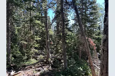 W Hunter Ridge Dr, Brian Head, UT 84719 - Photo 11
