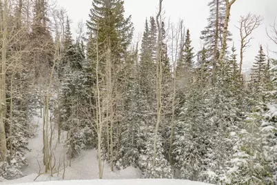 W Hunter Ridge Dr, Brian Head, UT 84719 - Photo 17