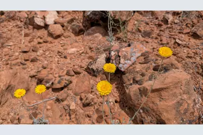 R-1308-S-5 Eagle Crags Rd, Rockville, UT 84763 - Photo 5