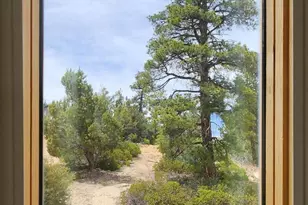 11685 Fir Rd, Orderville, UT 84758 - Photo 49
