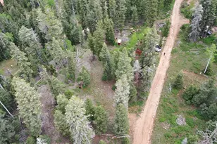 6240 W Grizzly Ln, Duck Creek, UT 84762 - Photo 21