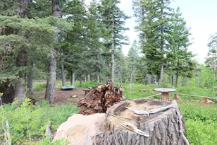 6240 W Grizzly Ln, Duck Creek, UT 84762 - Photo 13