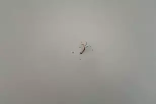 1592 E Black Brush Dr, Washington, UT 84780 - Photo 75