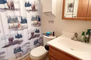 678 W Ski Vw Dr, Brian Head, UT 84719 - Photo 57