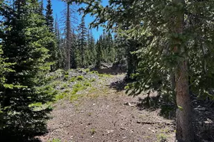 115 S Olympic Dr, Brian Head, UT 84719 - Photo 1