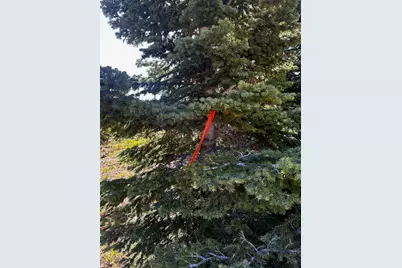 115 S Olympic Dr, Brian Head, UT 84719 - Photo 11