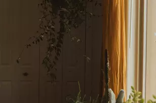 2031 East Colorado Drive, Saint George, UT 84770 - Photo 23