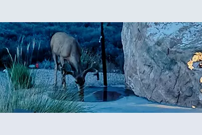 2602 Canyon Point Dr, Springdale, UT 84767 - Photo 89