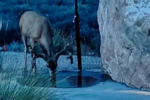 2602 Canyon Point Dr, Springdale, UT 84767 - Photo 89