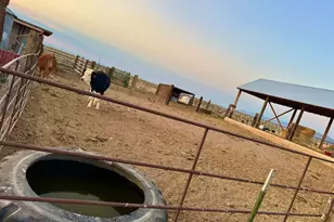 1380 N 2800 E, Enterprise, UT 84725 - Photo 9