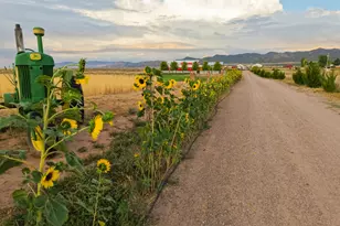 1380 N 2800 E, Enterprise, UT 84725 - Photo 79