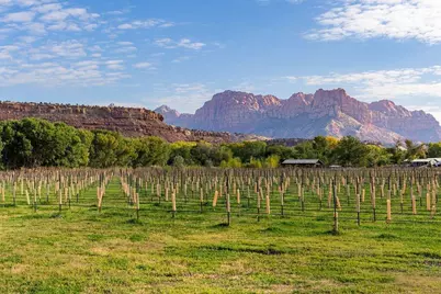 560 Vineyard Ln, Rockville, UT 84763 - Photo 71