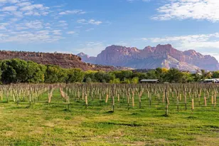 560 Vineyard Ln, Rockville, UT 84763 - Photo 71