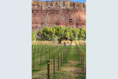 560 Vineyard Ln, Rockville, UT 84763 - Photo 75