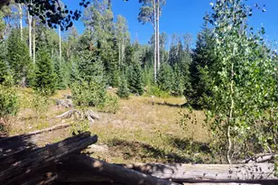 2071 S Knight St, Brian Head, UT 84719 - Photo 19