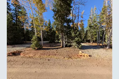 295 E Porcupine Dr, Duck Creek, UT 84762 - Photo 35