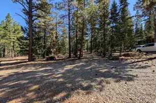 295 E Porcupine Dr, Duck Creek, UT 84762 - Photo 13