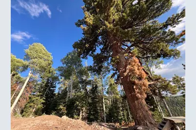 Ponderosa West Village, Beaver, UT 84713 - Photo 1