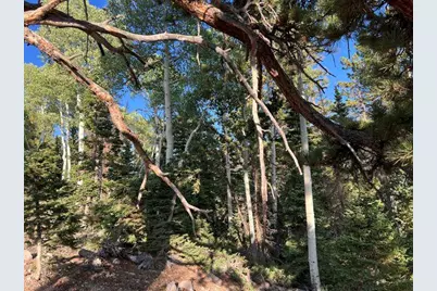 Ponderosa West Village, Beaver, UT 84713 - Photo 3