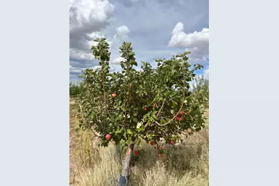 19.6 Acres Beryl With Water & Electric, Beryl, UT 84714 - Photo 21