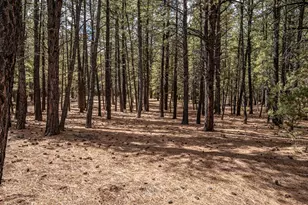 261 W Aspen Dr, Hatch, UT 84735 - Photo 33