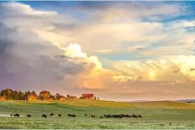 1580 S Peaches Ct, Orderville, UT 84758 - Photo 15