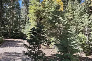 4045 N Porcupine Circle, Duck Creek, UT 84762 - Photo 47