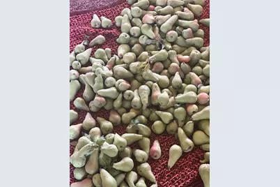 267 N 300 W, Parowan, UT 84761 - Photo 25