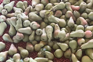 267 N 300 W, Parowan, UT 84761 - Photo 25