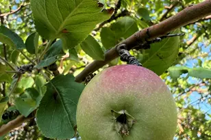 267 N 300 W, Parowan, UT 84761 - Photo 23