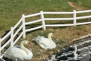 805 River Road S, Saint George, UT 84790 - Photo 7