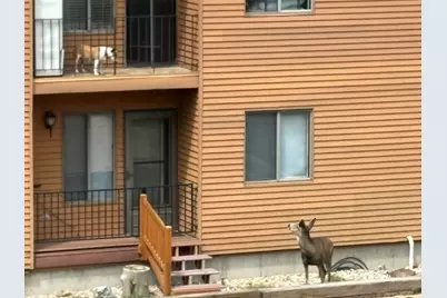 464 N Hwy 143 #A204, Brian Head, UT 84719 - Photo 15