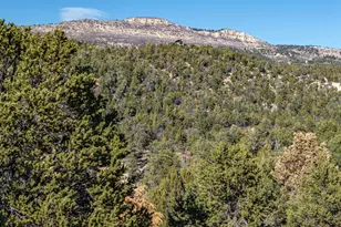 6 S N Frk Rd, Orderville, UT 84758 - Photo 49