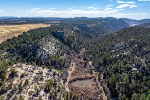 6 S N Frk Rd, Orderville, UT 84758 - Photo 29