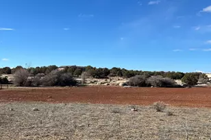 2591 S Desert Dr, Apple Valley, UT 84737 - Photo 45