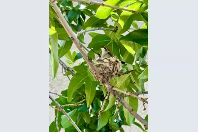 2286 Malaga Ave, Santa Clara, UT 84765 - Photo 69