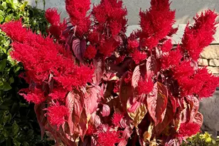 2286 Malaga Ave, Santa Clara, UT 84765 - Photo 99