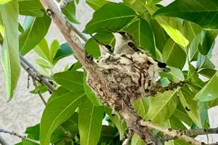 2286 Malaga Ave, Santa Clara, UT 84765 - Photo 69