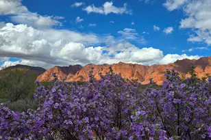 1068 N Shonto Ridge Dr, Ivins, UT 84738 - Photo 45